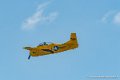 t28_7402