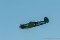 yak_7579