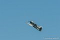 yak_7581