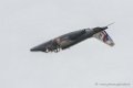 alphajet-d500_5514