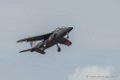 alphajet-d500_5535